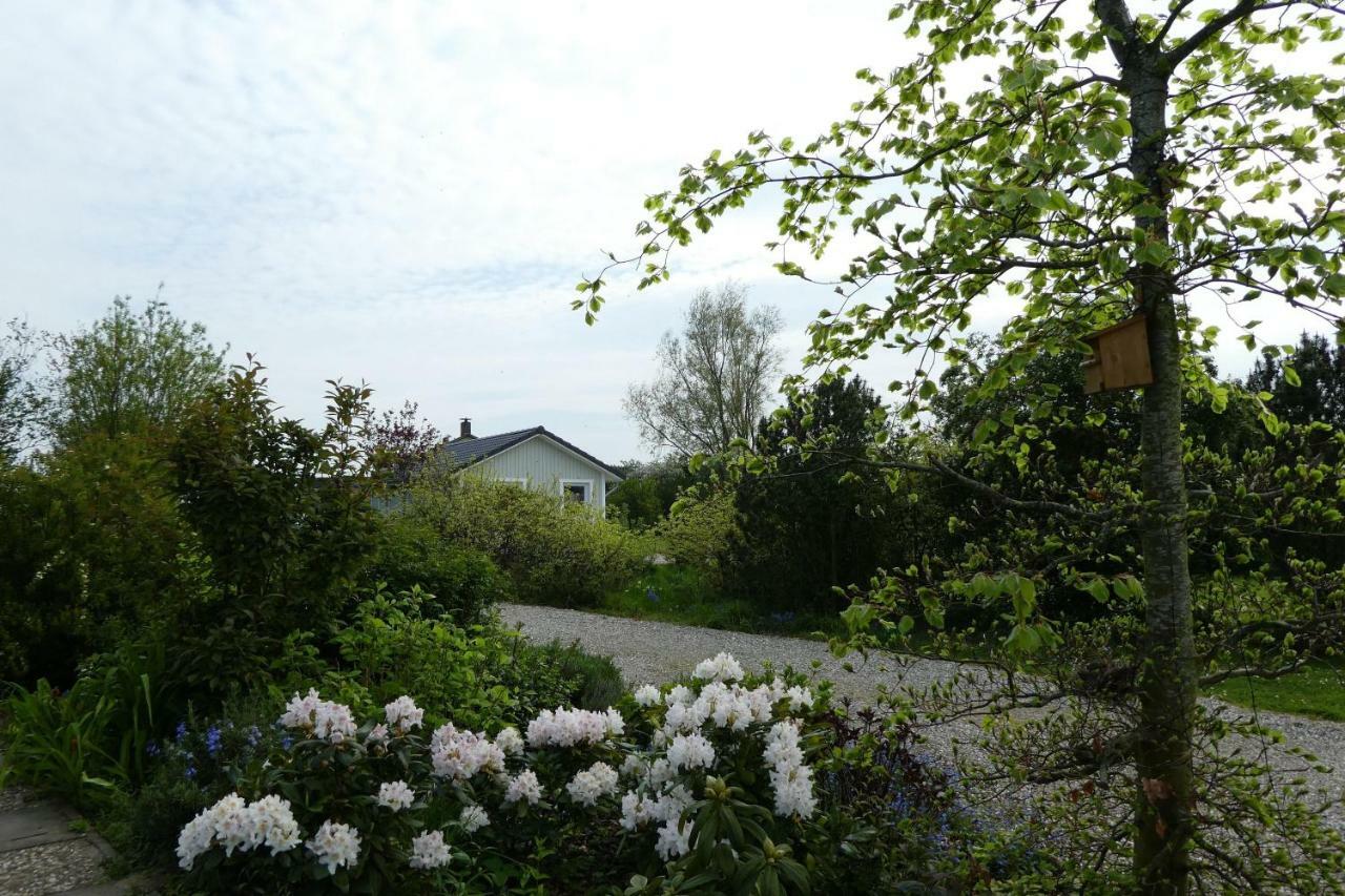 Ferienhaus-Lachmoewe Kappeln Εξωτερικό φωτογραφία